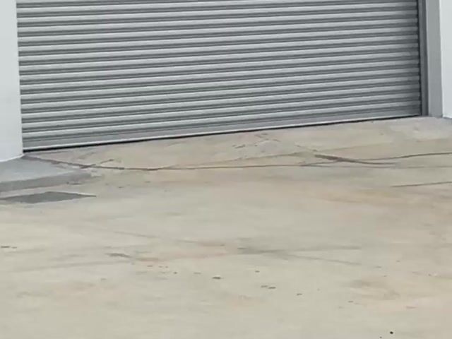 Video Image 1