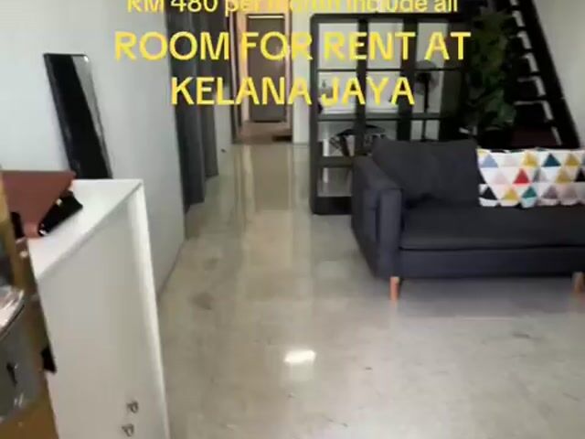 Video Image 1