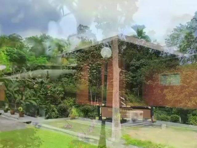 Video Image 1