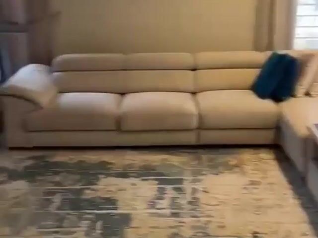 Video Image 1