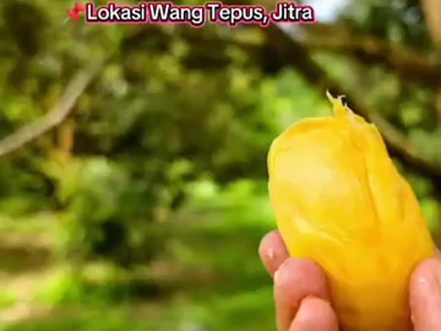 Video Image 1