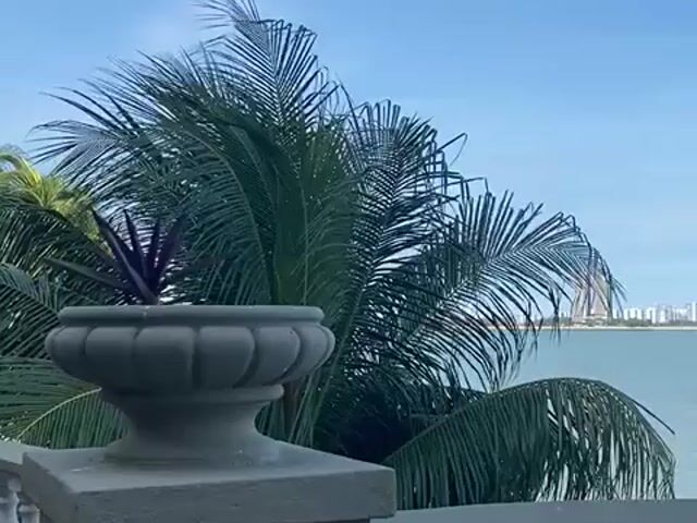 Video Image 1