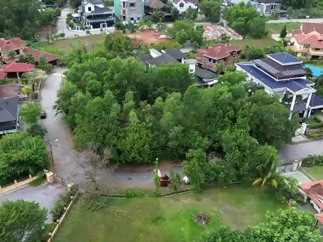 Video Image 1