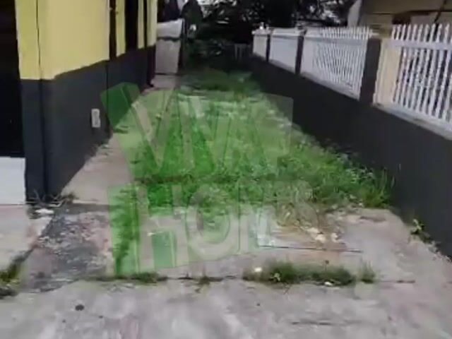 Video Image 1