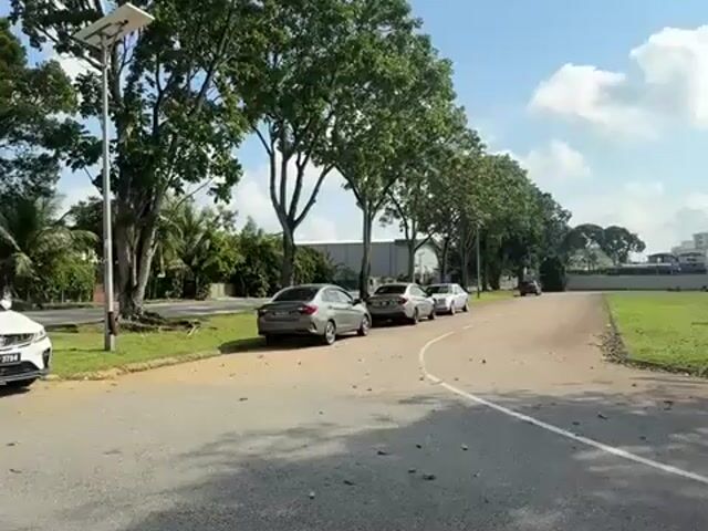 Video Image 1