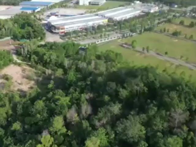 Video Image 1