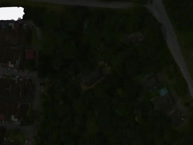 Video Image 1