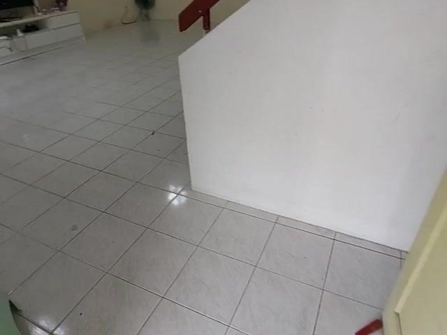 Video Image 1