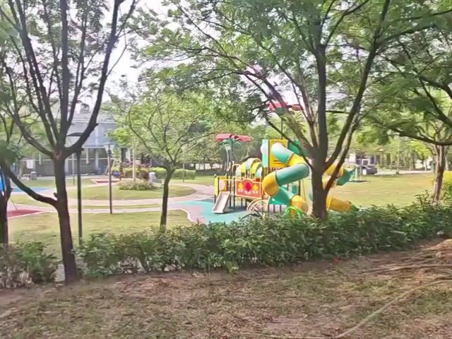 Video Image 1