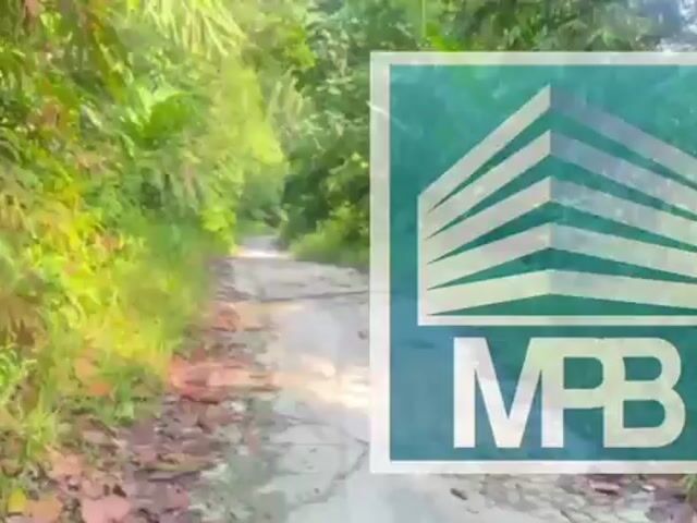 Video Image 1