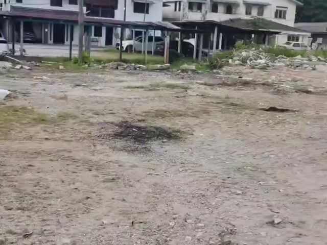 Video Image 1
