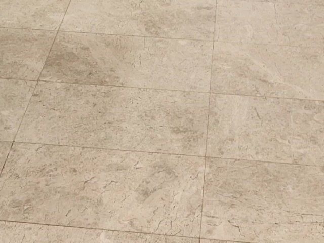 Video Image 1
