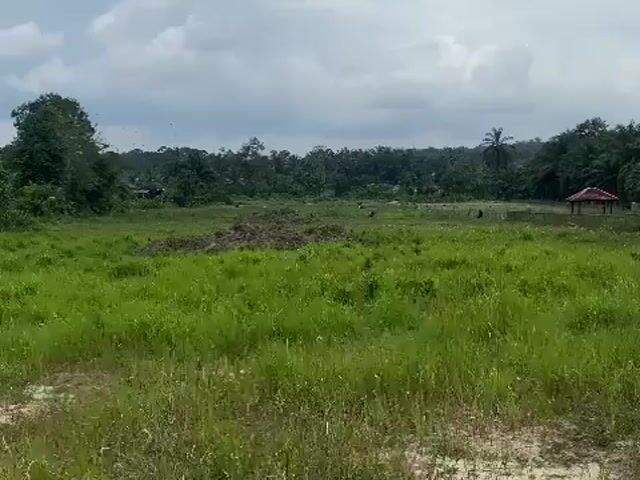 Video Image 1