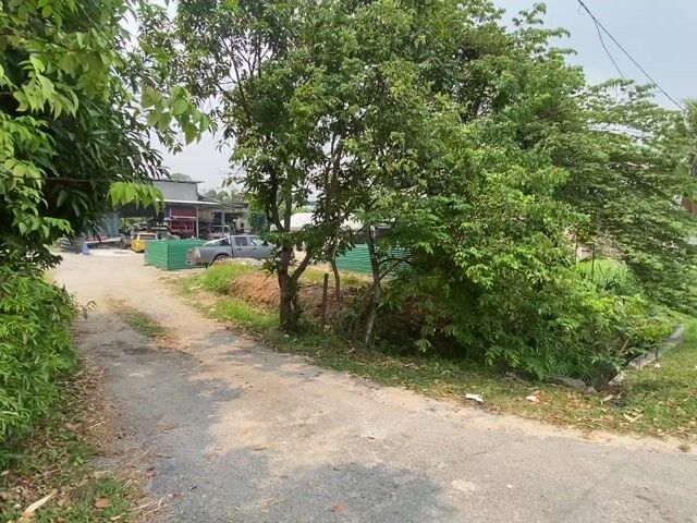 Video Image 1