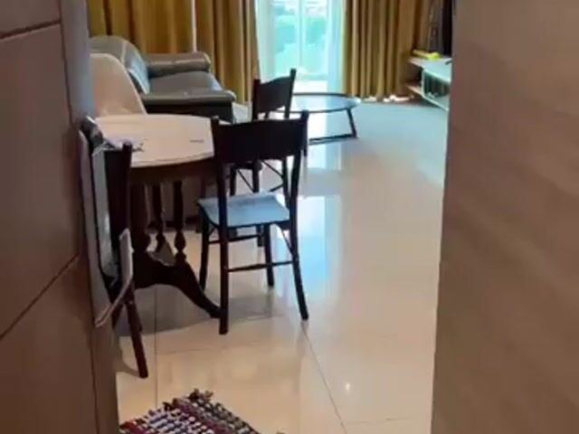 Video Image 1