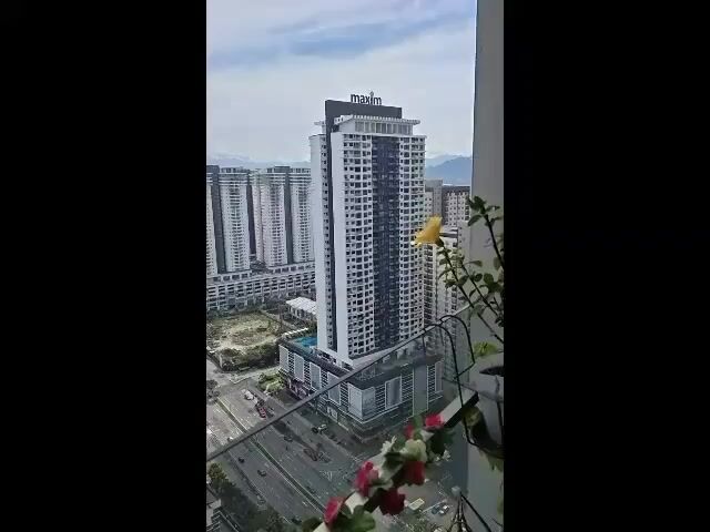 Video Image 1