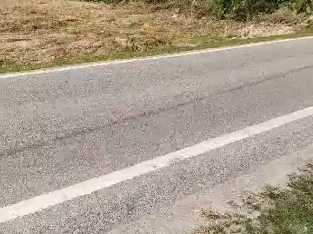 Video Image 1