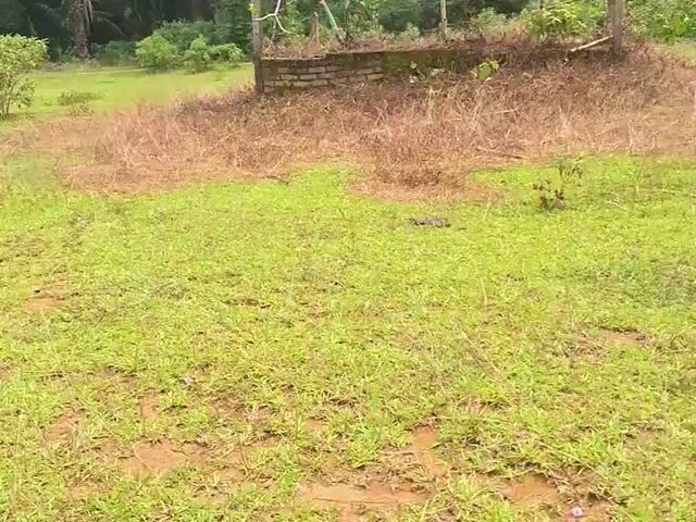 Video Image 1