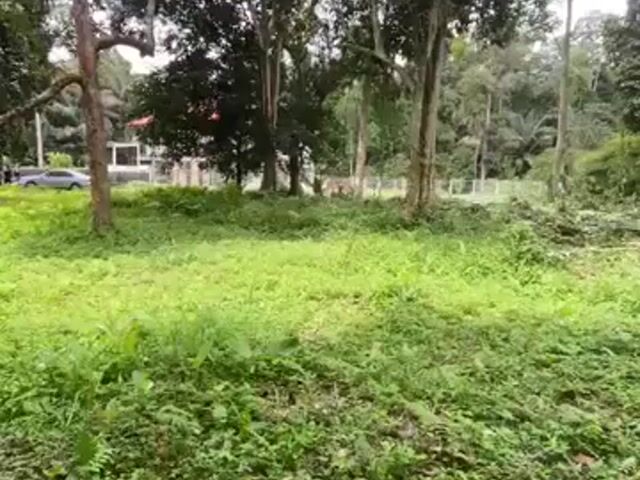 Video Image 1