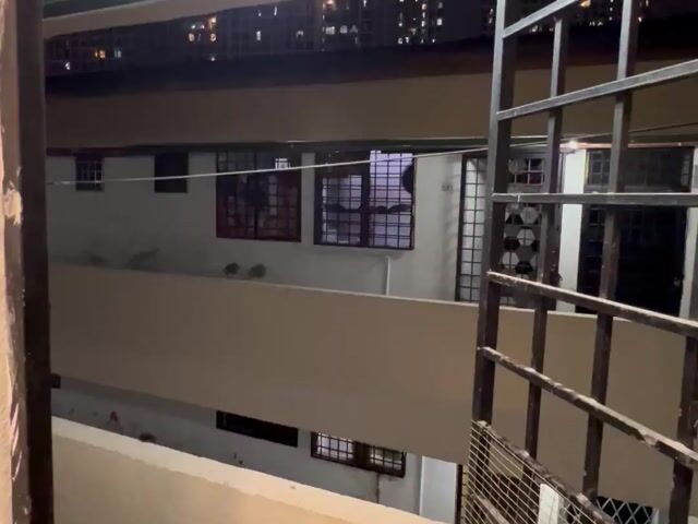 Video Image 1