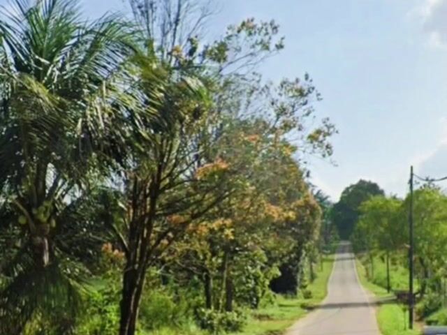 Video Image 1