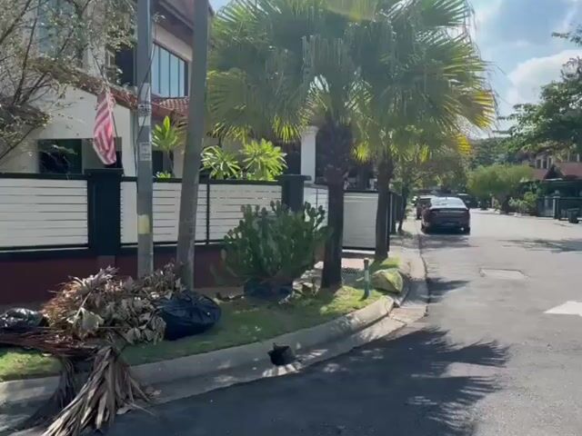 Video Image 1