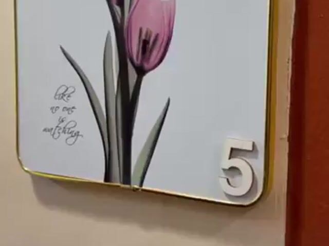 Video Image 1