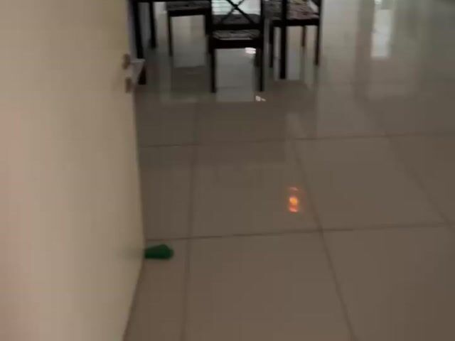 Video Image 1