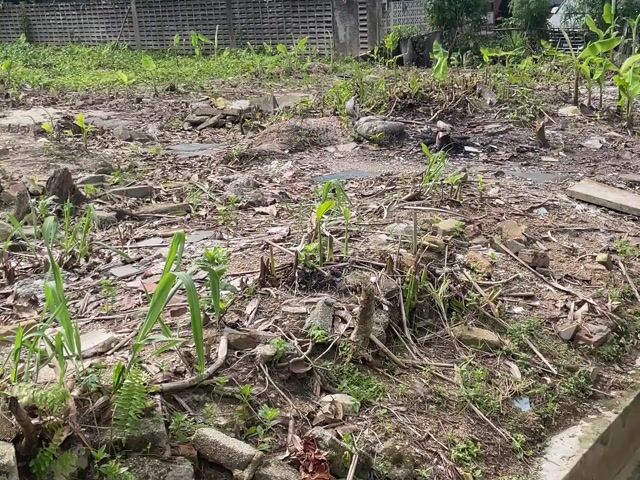 Video Image 1