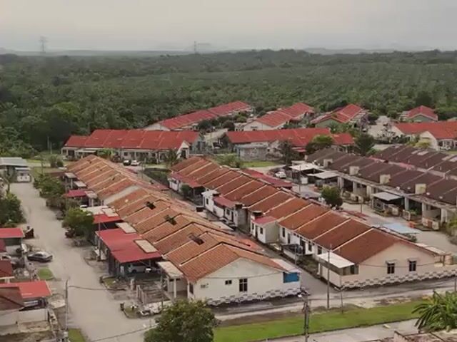 Video Image 1