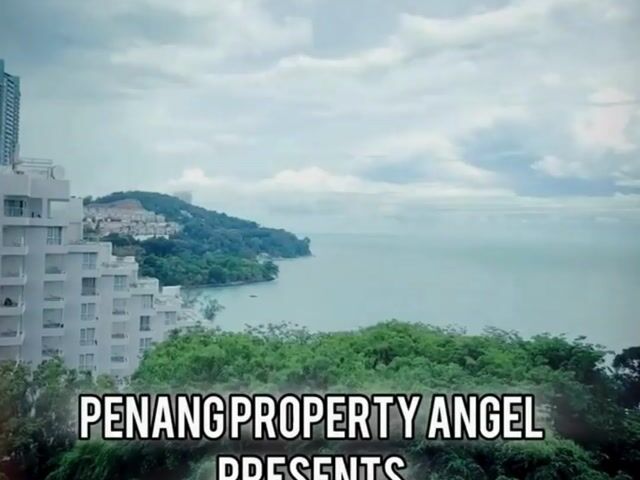 Video Image 1