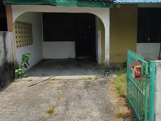 Video Image 1