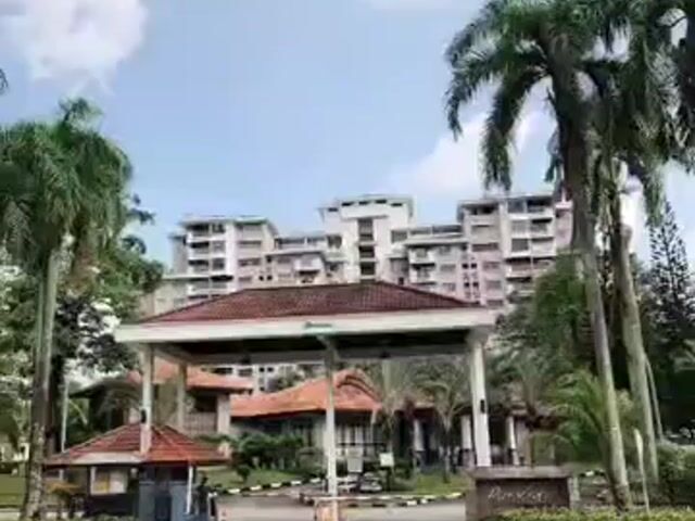 Video Image 1