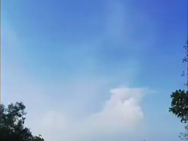 Video Image 1