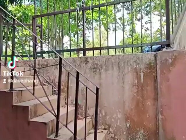 Video Image 1