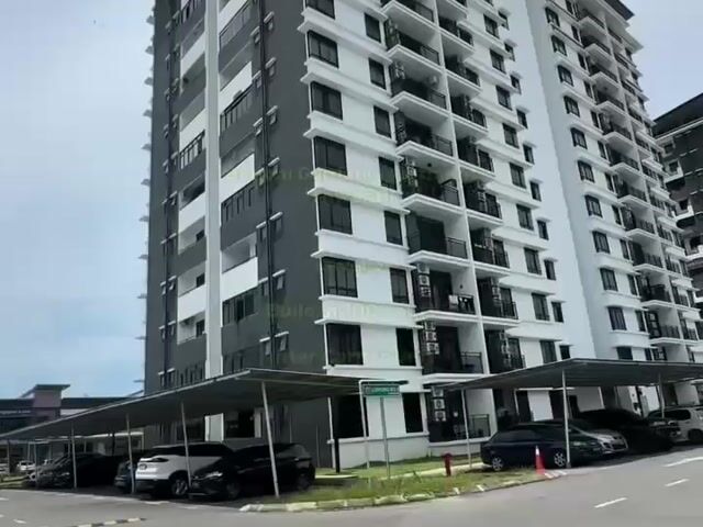 Video Image 1