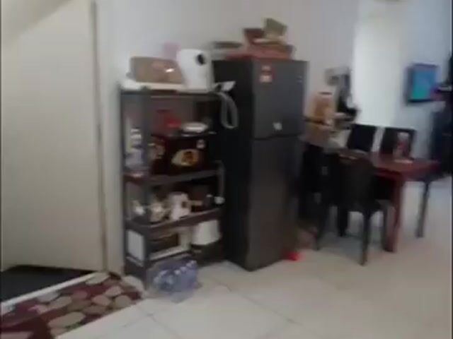 Video Image 1