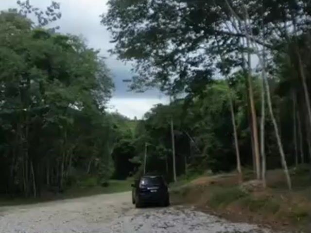 Video Image 1