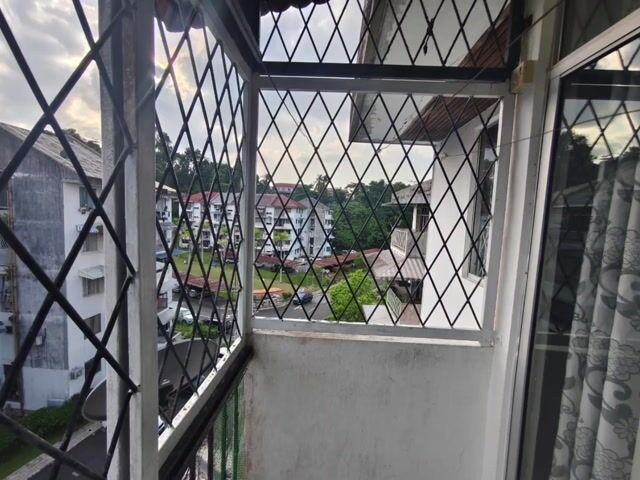 Video Image 1