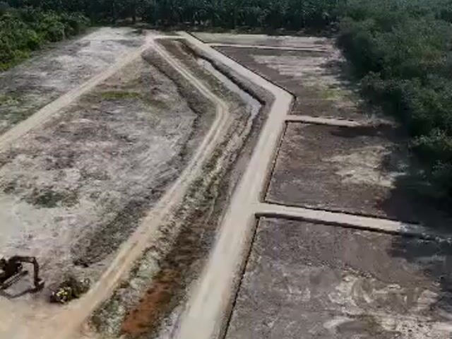 Video Image 1