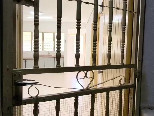 Video Image 1