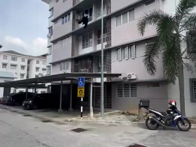 Video Image 1