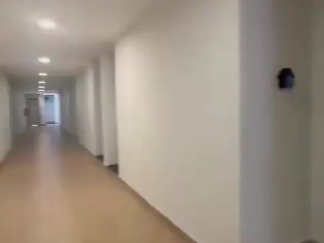 Video Image 1
