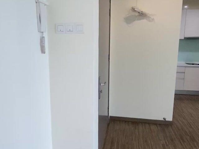 Video Image 1