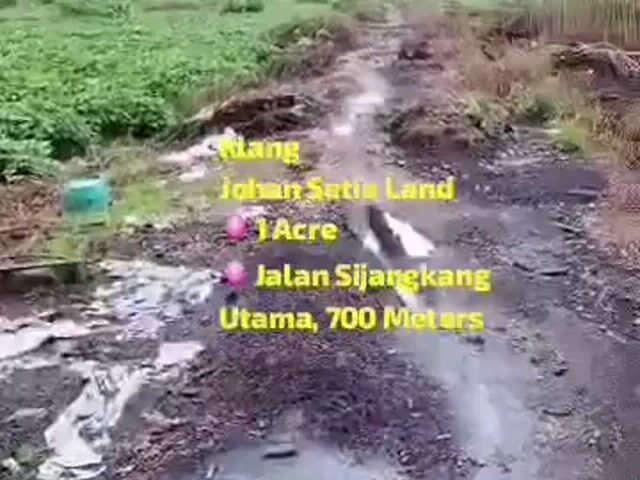 Video Image 1