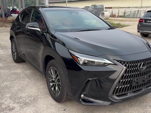 2024 Lexus NX250 2.5 STANDARD (A)S/ROOF,HUD,14”DIS - 1