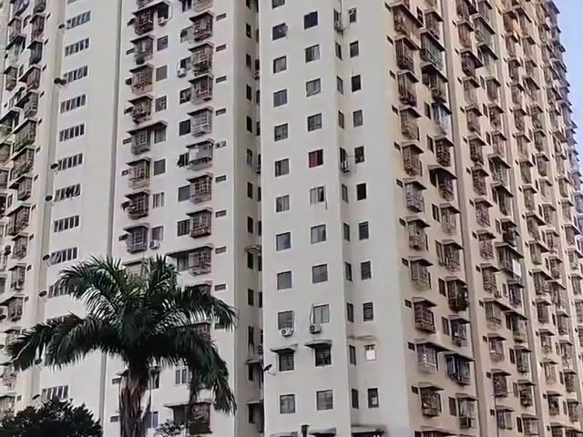 Video Image 1