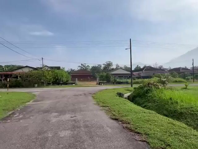 Video Image 1