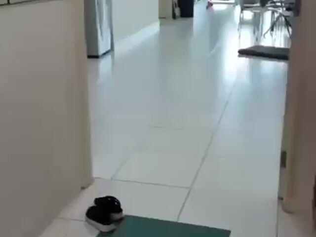 Video Image 1