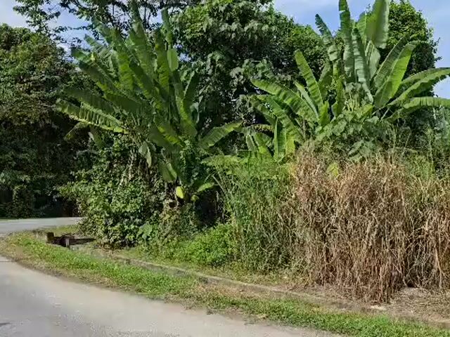 Video Image 1